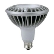 replacement led light bulb