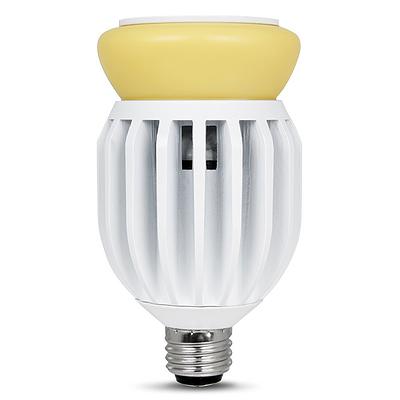 lighting ceiling Fans Home